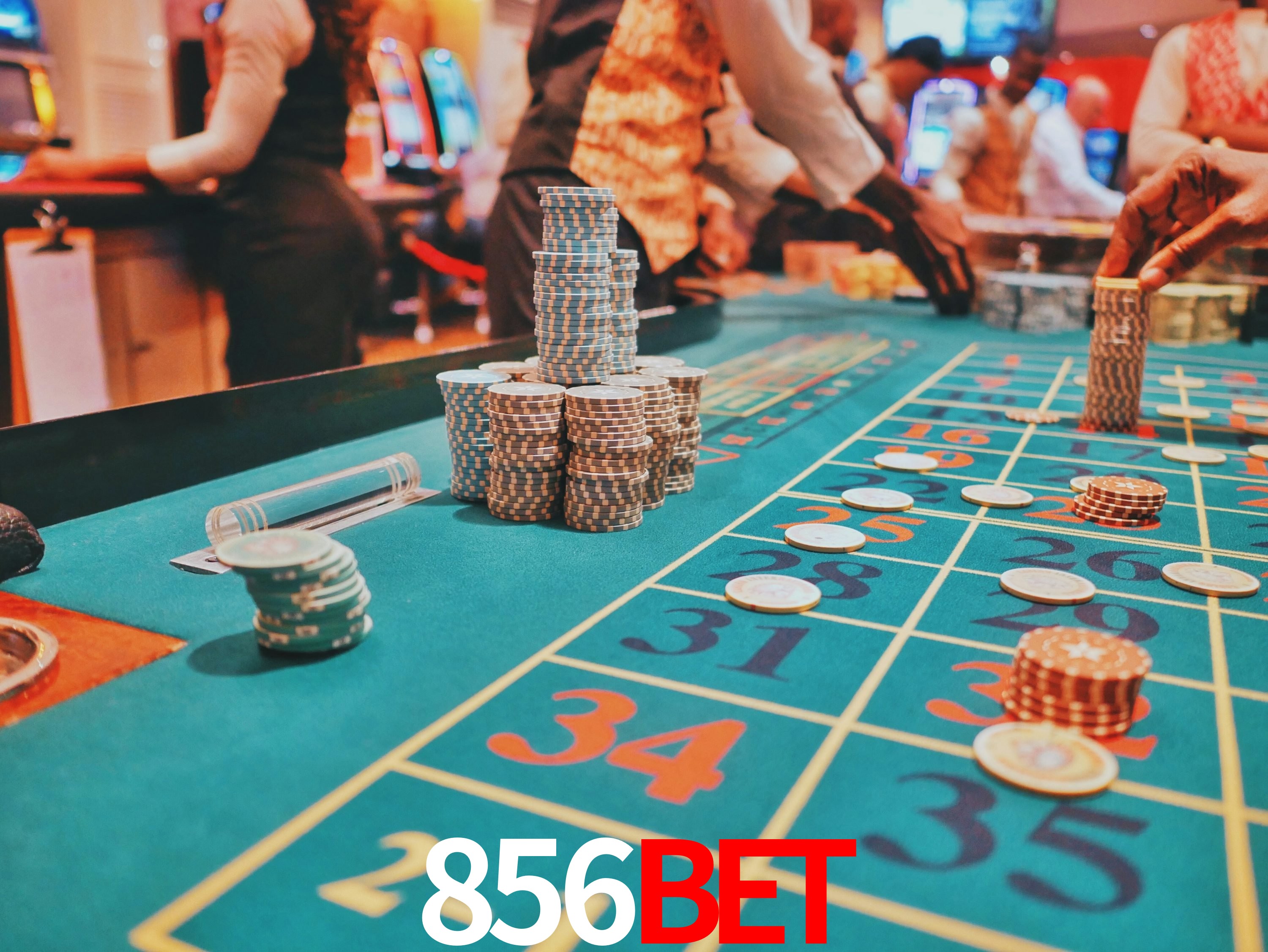 Experiência VIP 856bet