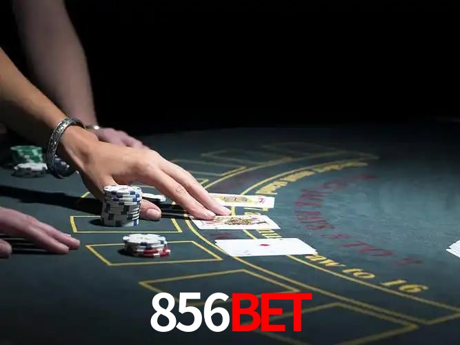 856bet Salvador - Support