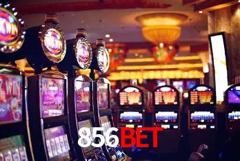 856bet Salvador - Bonus Stats