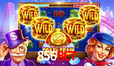 856bet Rio de Janeiro - Bonus Terms