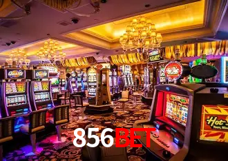 856bet Rio de Janeiro - Professional Dealers